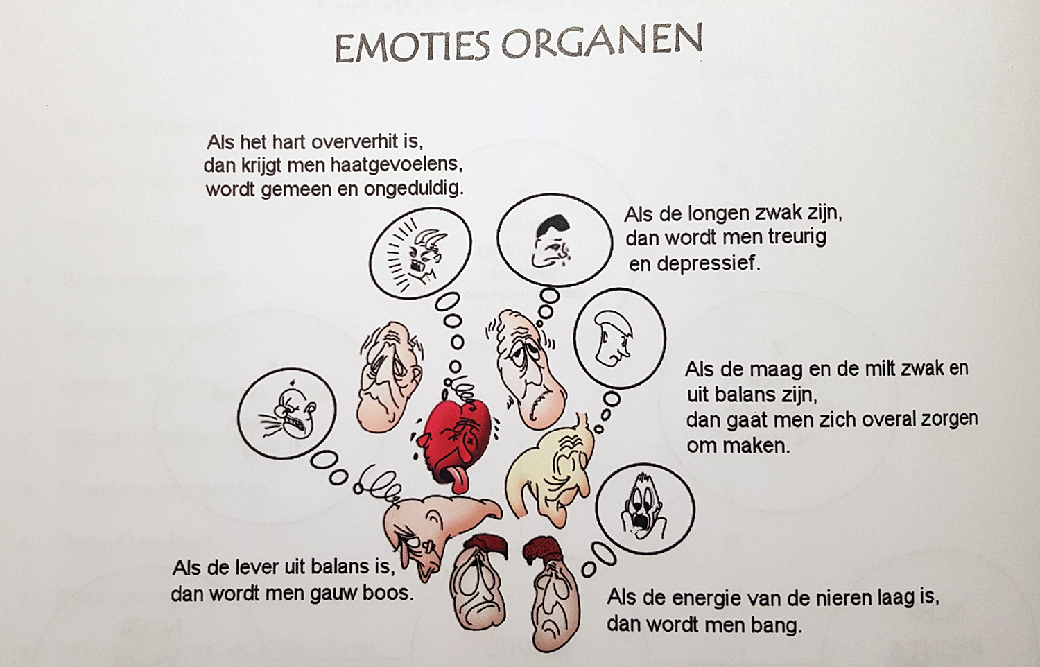 Emoties organen